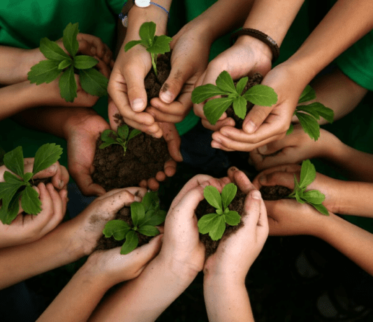 Organizațiile Ecologice din București