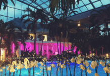 Курортно-рекреаційні ресурси біля Бухаресту