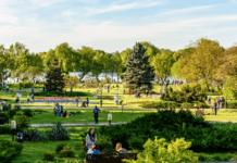 Озеленення Бухаресту