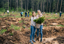 Как жители Бухареста приобщаются к сохранению окружающей среды