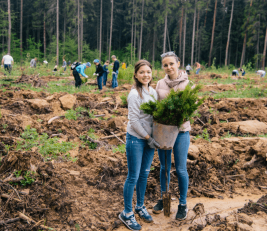 Cum contribuie locuitorii Bucureștiului la protecția mediului
