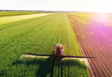 Clima și agricultura în București și în județul Ilfov