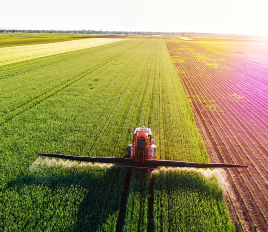 Клімат і сільське господарство у Бухаресті та у регіоні