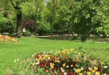 Cele mai Frumoase Parcuri din București