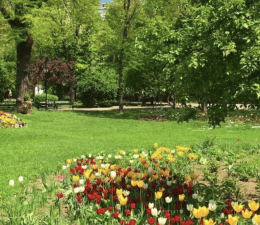 Cele mai Frumoase Parcuri din București