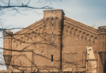 Primul moară cu aburi din București, începutul dinastiei morarilor