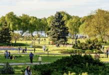 Înverzirea Bucureștiului