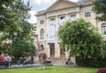 Історія Національного природничого музею Бухареста