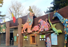 Caracteristicile Grădinii Zoologice din București