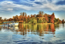 Unde să mergi în natură: București și împrejurimi