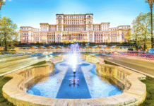 Cum să te implici în protecția mediului în București