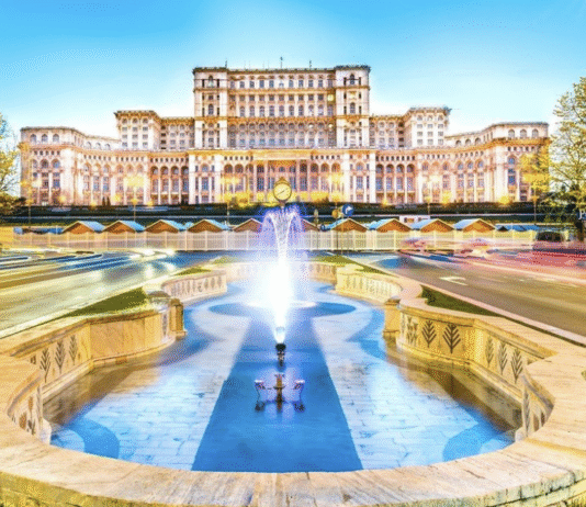 Cum să te implici în protecția mediului în București