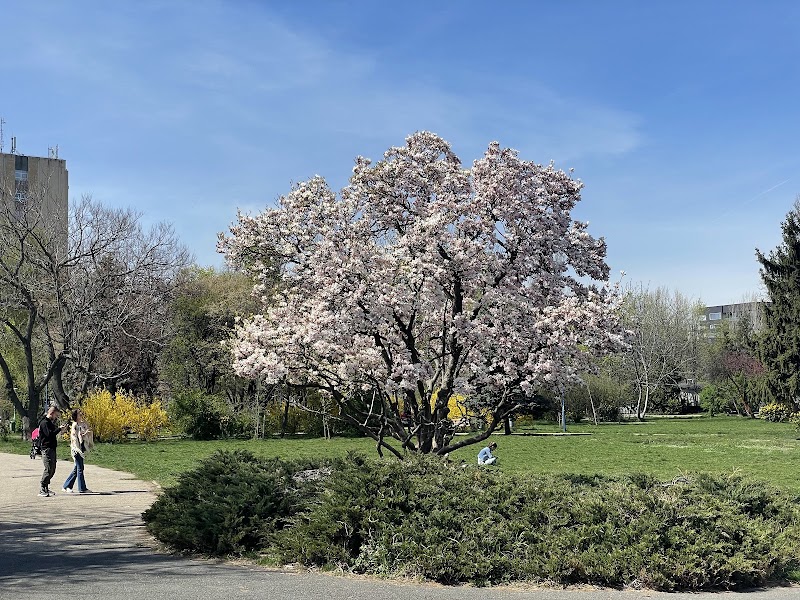 Circus' Park