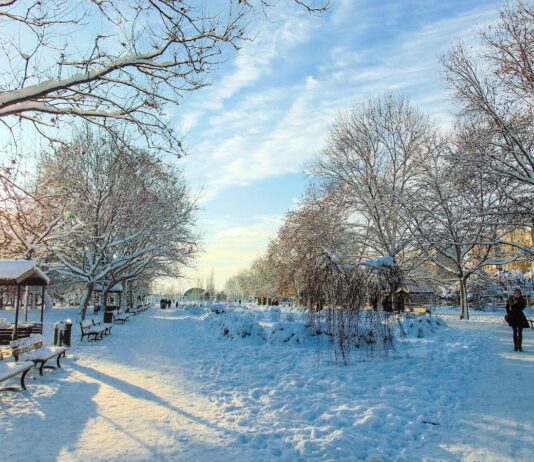 Парк Крынгаш (Parcul Crângași)
