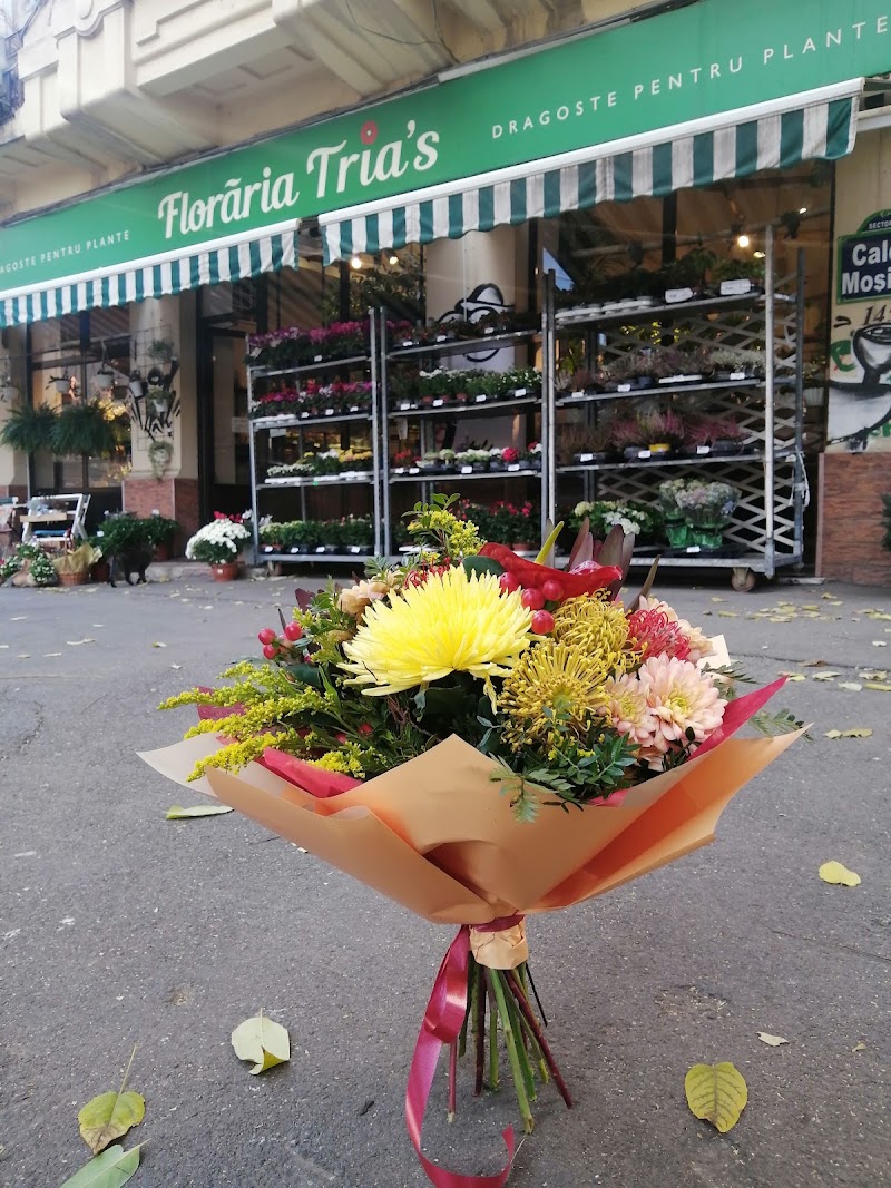 Floraria Trias