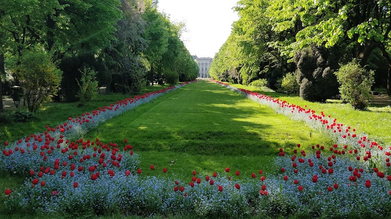 Сад Cișmigiu (Grădina Cișmigiu)