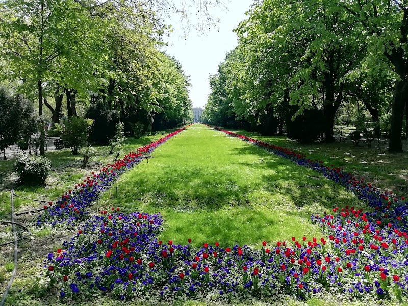 Сад Cișmigiu (Grădina Cișmigiu)
