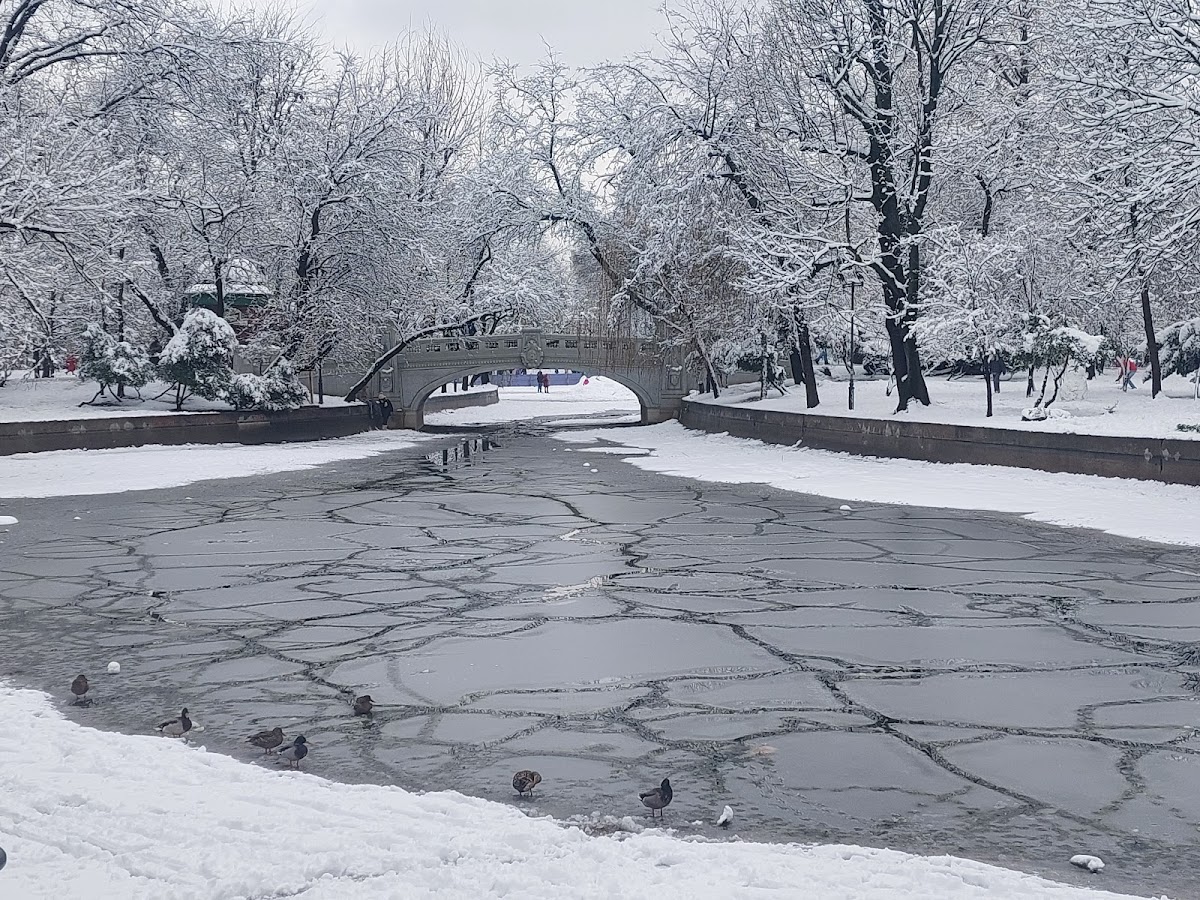 Сад Cișmigiu (Grădina Cișmigiu) — Park