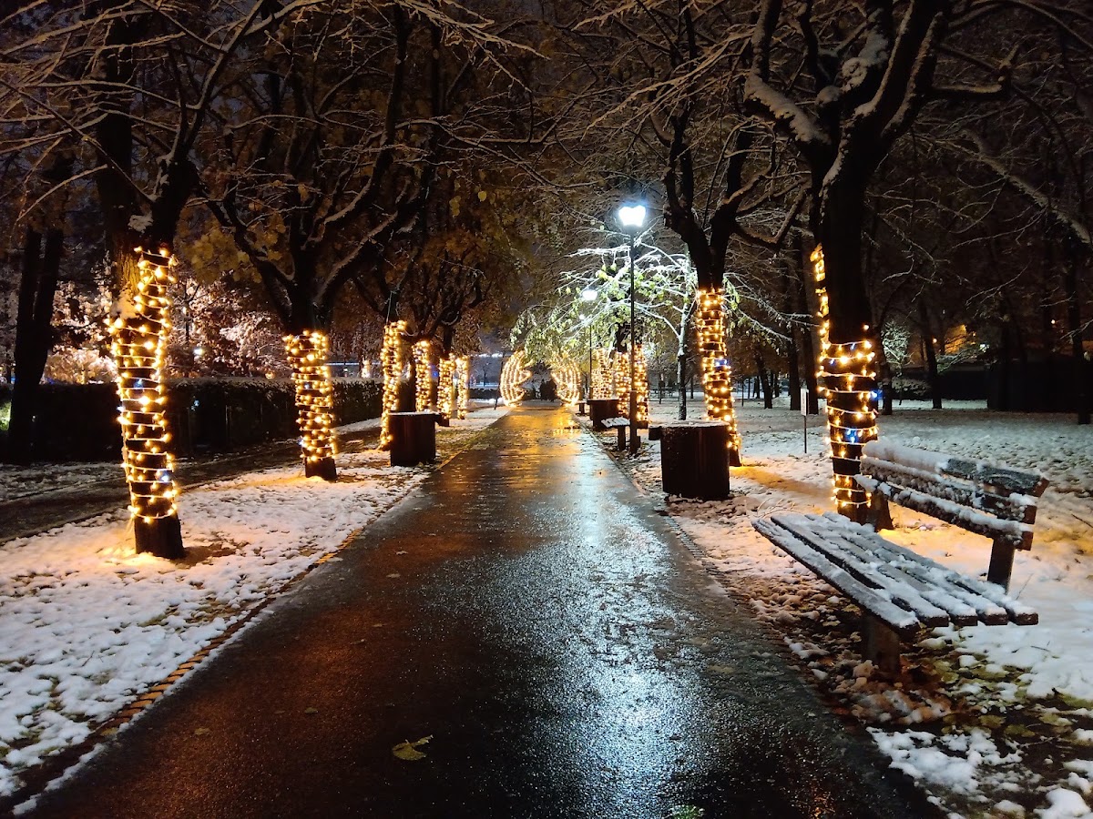 Парк Drumul Taberei (Parcul Moghioroș) — Park