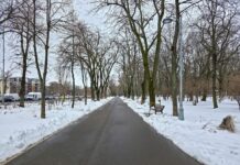 Парк Киселёфф