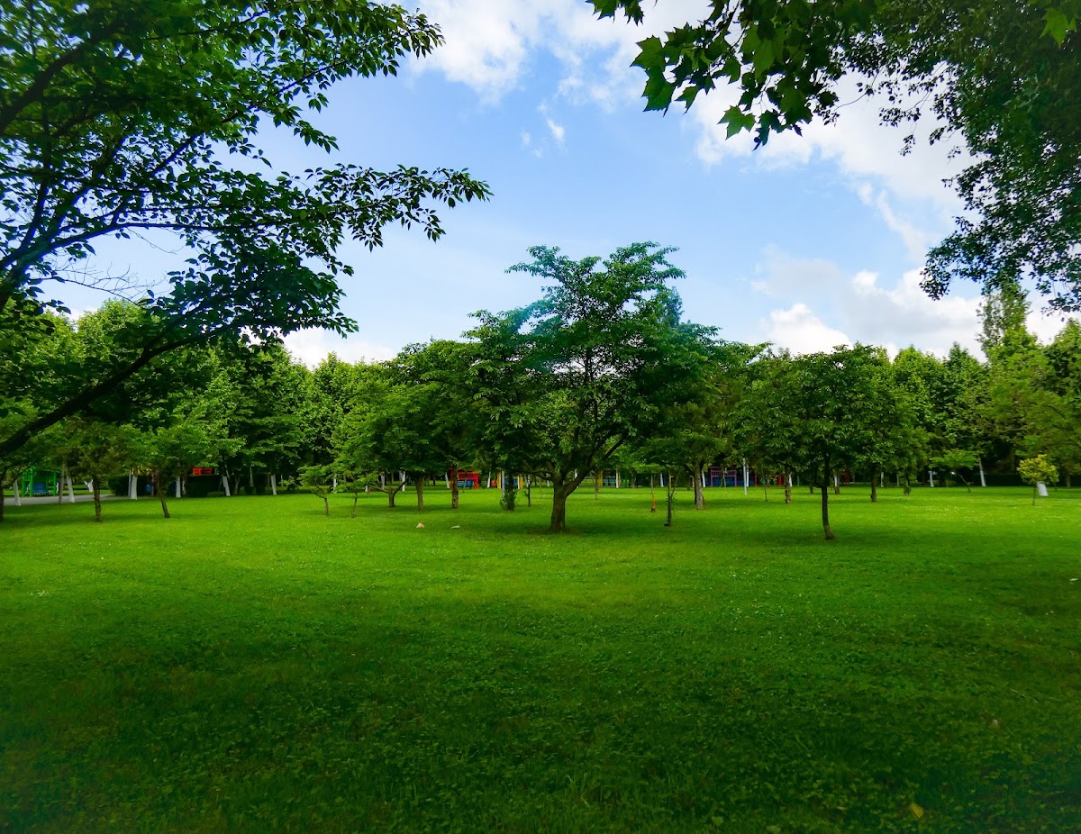 Парк Лумя Копіілор — Park
