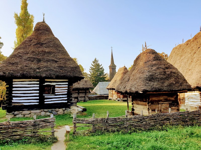 Парк Regele Mihai I (бывший Herăstrău)