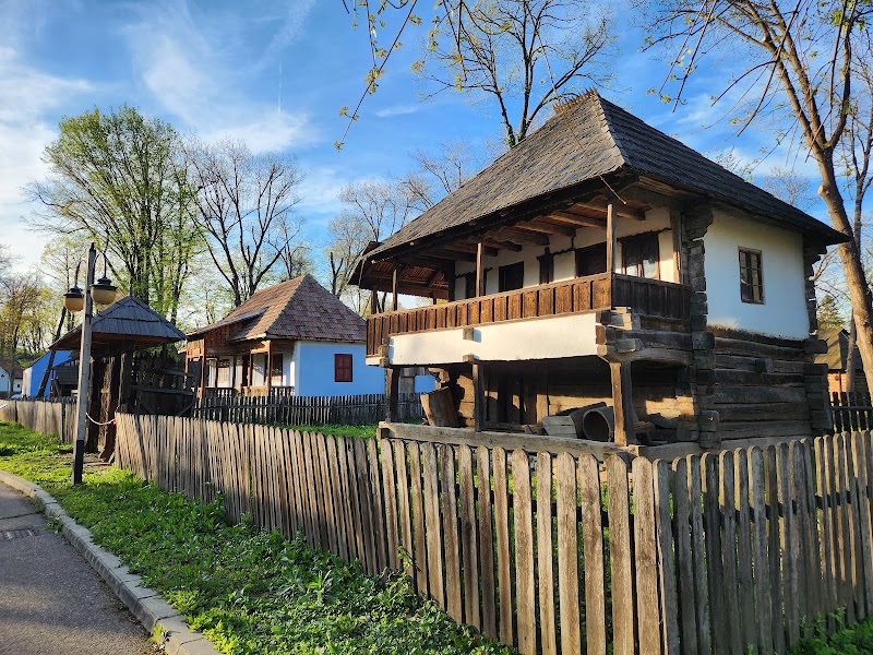 Парк Regele Mihai I (бывший Herăstrău)