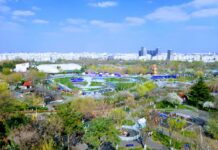 Parcul Tineretului