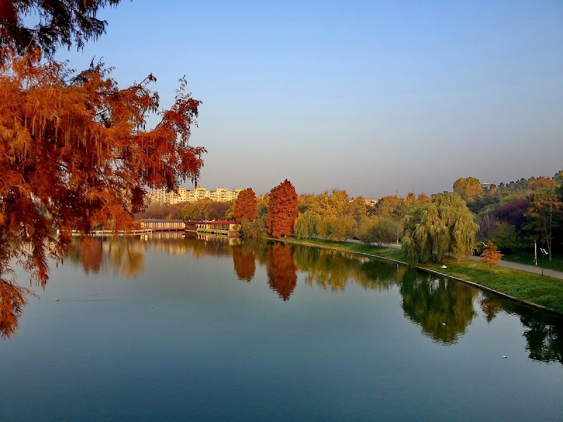 Парк Tineretului (Parcul Tineretului)