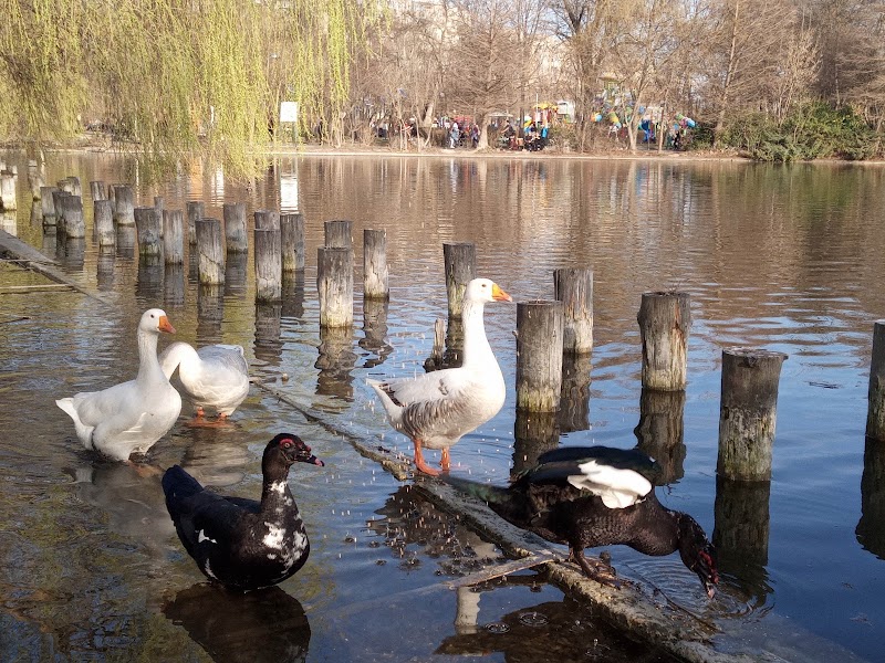 Парк Tineretului (Parcul Tineretului)