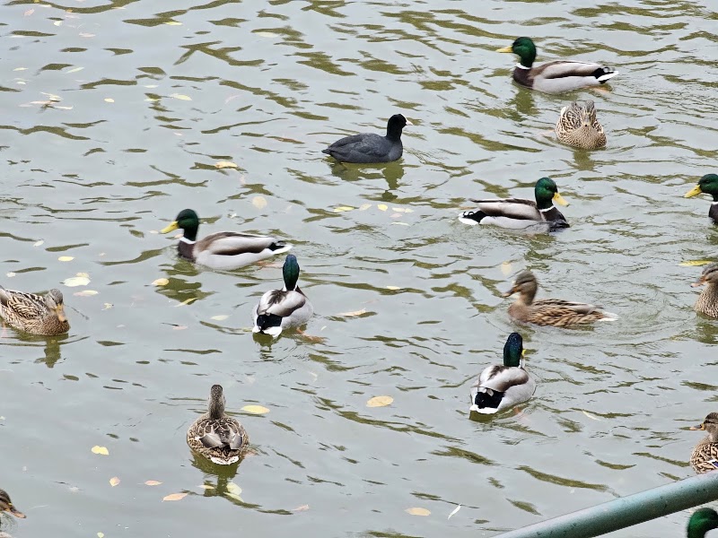 Parcul Național